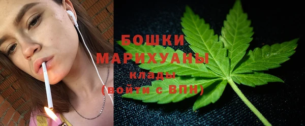 дмт Гусь-Хрустальный
