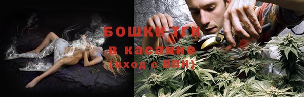 амф Гусев